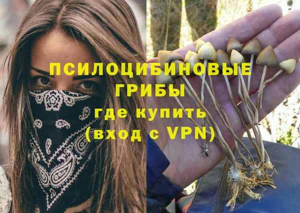 МДМА Алексин