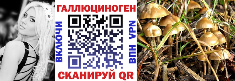 Галлюциногенные грибы GOLDEN TEACHER  Ревда 