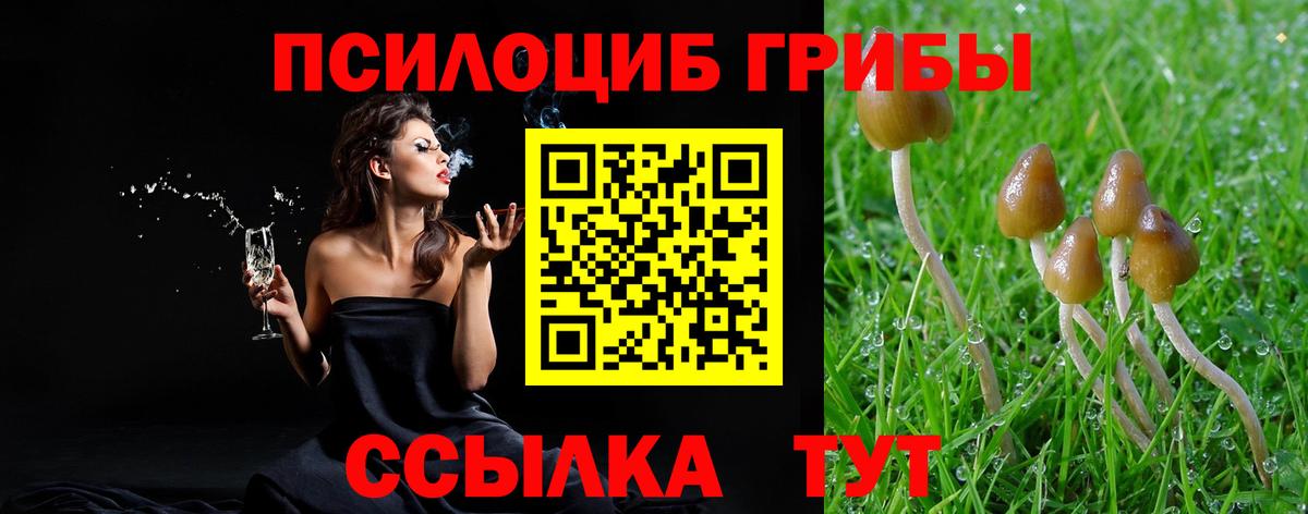 Псилоцибиновые грибы Magic Shrooms  Галлюциногенные грибы Psilocybine cubensis  Ревда  Вход с VPN 