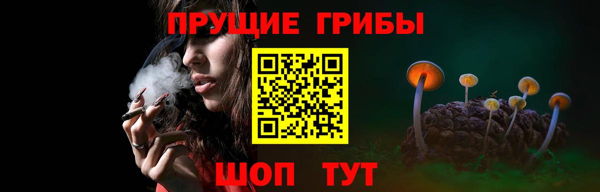 Псилоцибиновые грибы мухоморы Ревда